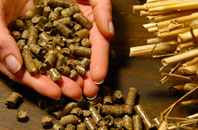 free Vigo biomass boiler quotes