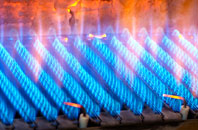 Vigo gas fired boilers